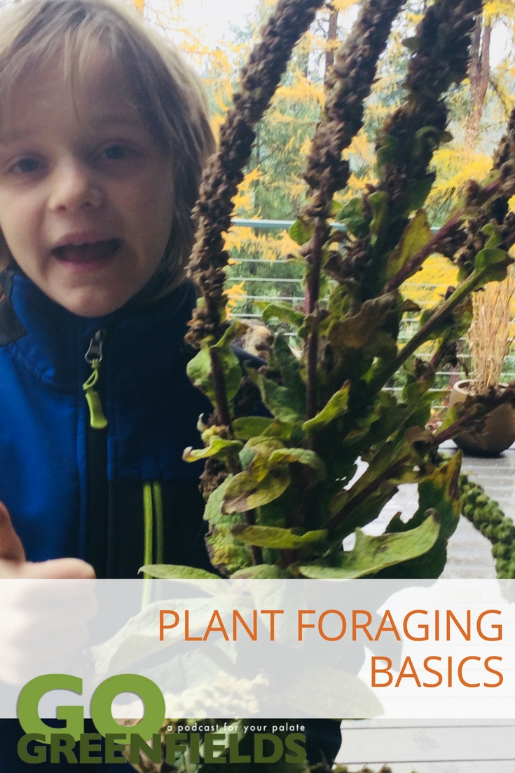 River and Terran Go Plant Foraging @GoGreenfields