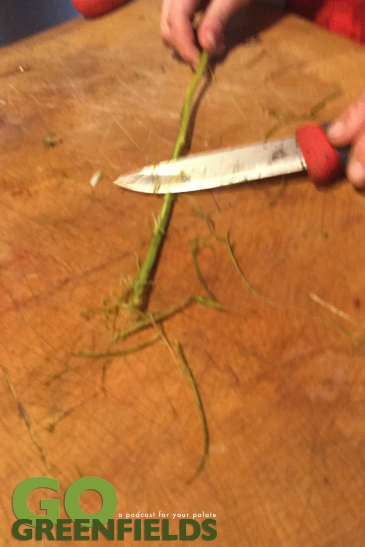 Spear Thistle Plant Foraging @GoGreenfields