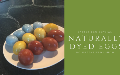 Easter Special – Terran and River Naturally Dye Eggs For The Holidays