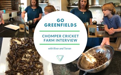 Chomper Cricket: Unconventional Foods Part II