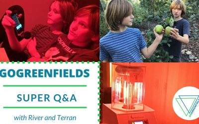 Super Q&A: Superfoods, Which Brother, and Viewer Questions