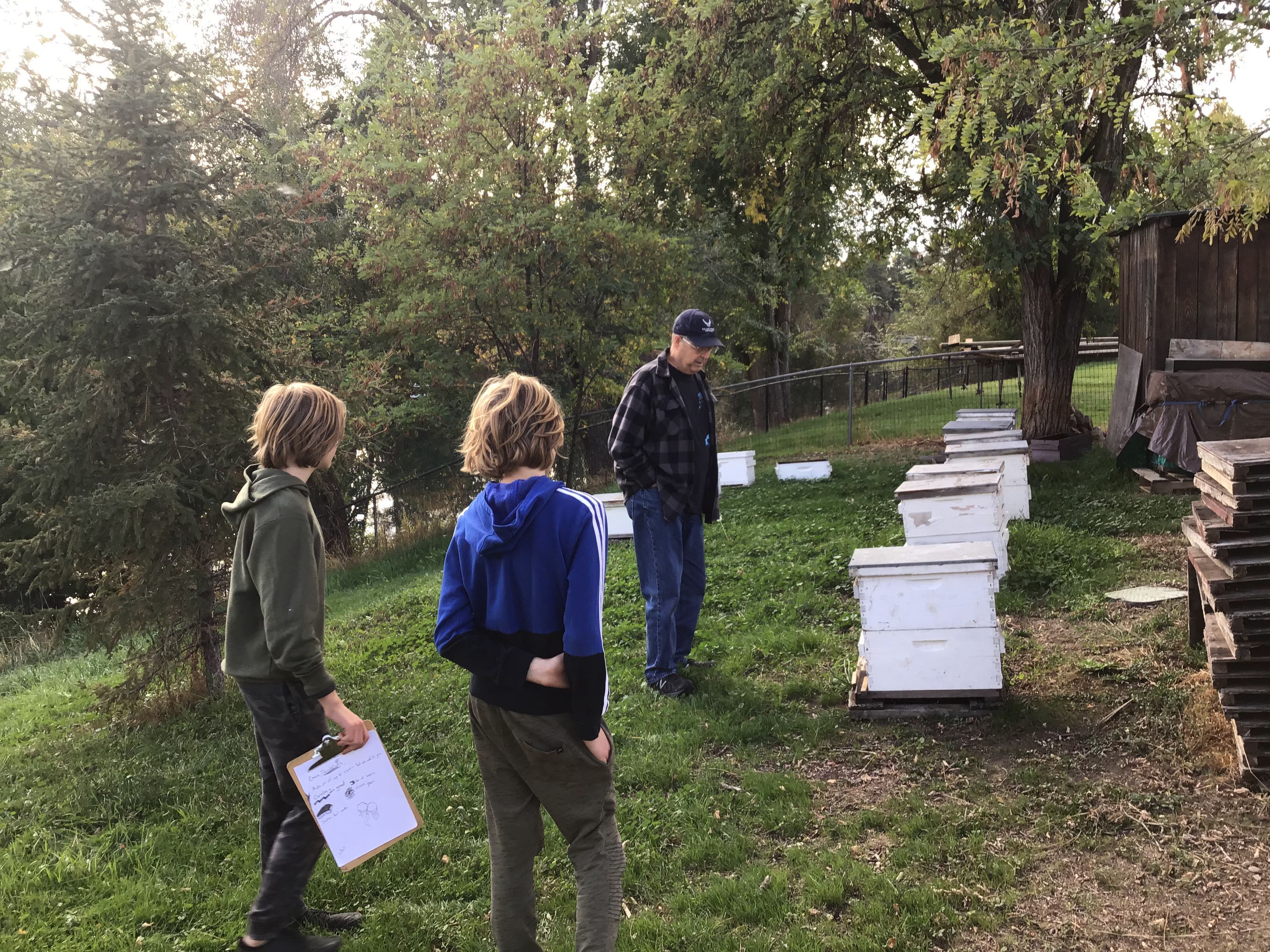 Tates Honey Farm, Bee Farm, Beekeeping, Honey