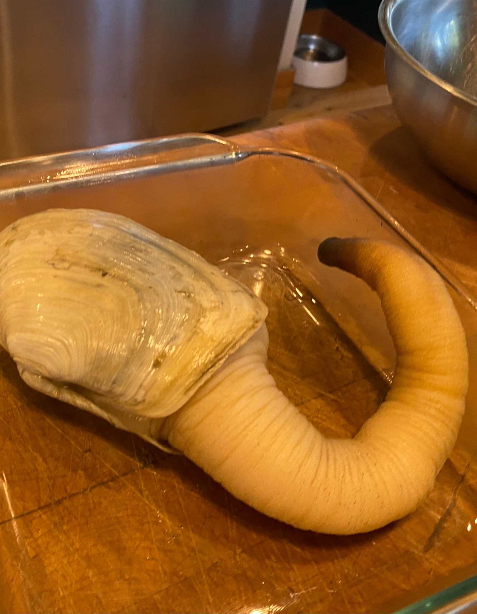 Foods By State Washington Geoduck Clam Chowder