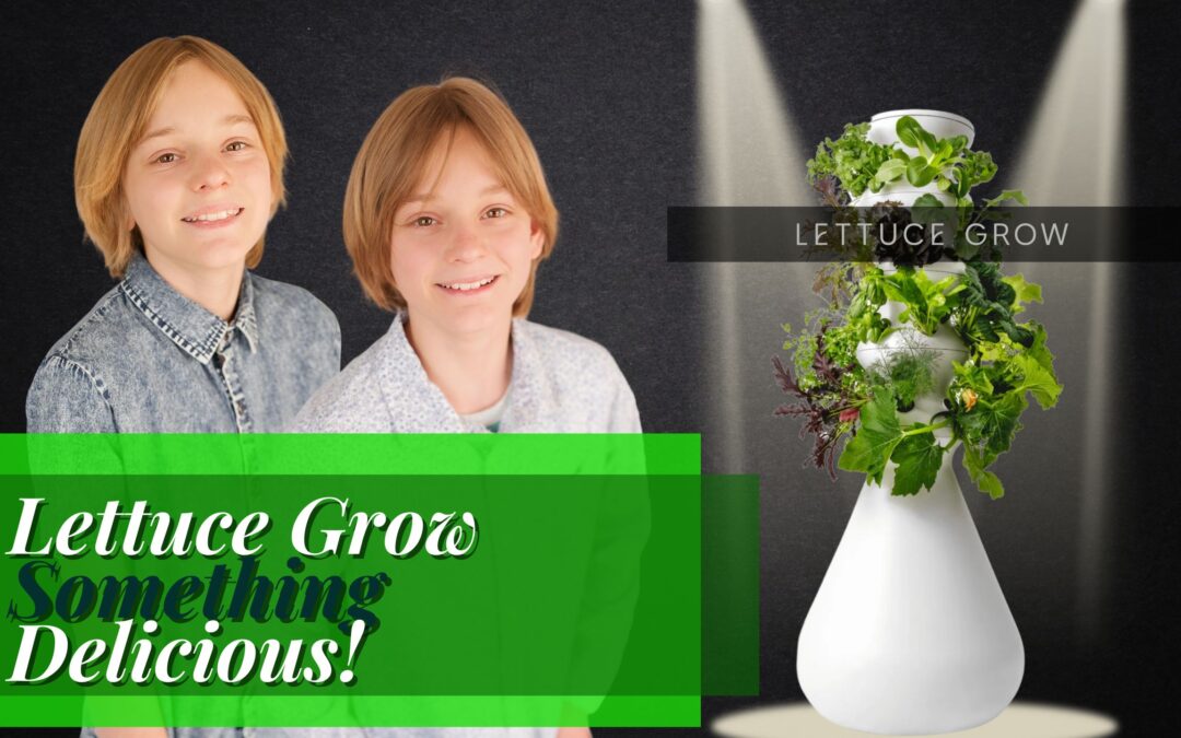 Indoor Gardening: Let Us Grow with LettuceGrow